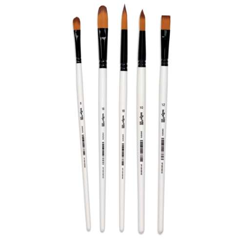 Set de 5 pinceles Darwi 